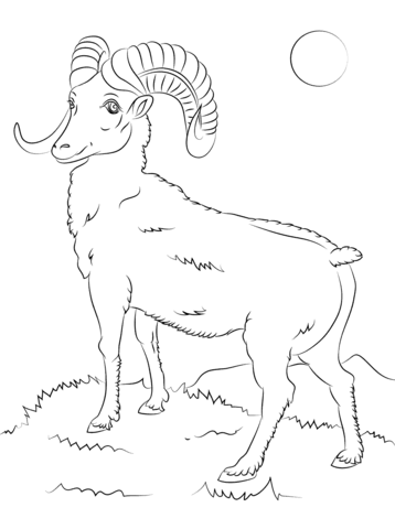 Mountain Bighorn Sheep Coloring Page